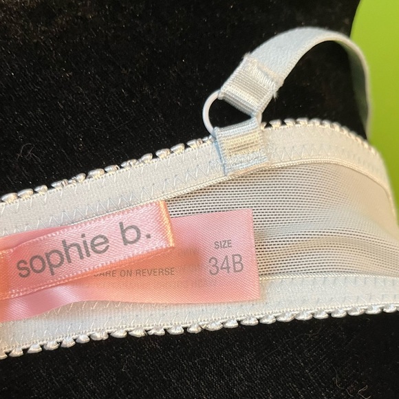 Romantic pastel Blue Rainbow Lace Corset Lingerie Bra, Size 34c, NWOT - Picture 8 of 8